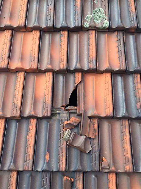 broken roof tile leak